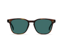 Sunglasses Raen Alvez Kola Tortoise/Pacifica