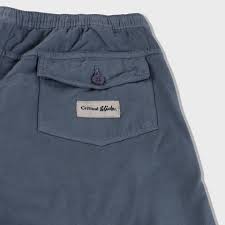 Shorts Critical Slide All Day Canvas Short